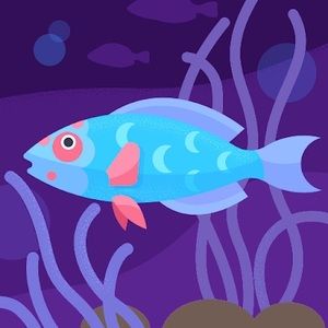 Meet your Posher, Joseph